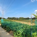 의리공인중개사사무소 이미지