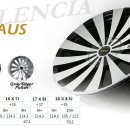 타이어 피트 이미지