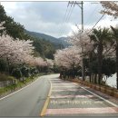 해금강주차장 이미지