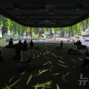 고양이의 하루 이미지