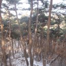 [전북 남원]남원소방서~고산봉(428m)~에끼재~호인치~남원 계룡산(392m)~비촌버스정류장 다녀오기(2012/12/23/일) 이미지