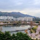 정도행정사 이미지