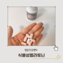 힐링건강랜드 | 힐링건강랜드 식물성멜라토닌 솔직 체험담 편안한 잠을 찾아보세요