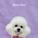 MUNG MOO 이미지