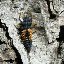 수곡초교 병설유치원 이미지