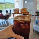 브루다커피
