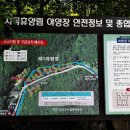 도사곡휴양림야영장 이미지