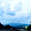 안동봉화축산업협동조합 봉화한약우프라자 이미지