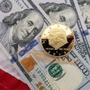 약한 달러는 '제2차 트럼프 행정부'를 막지 못하게 하는 금값이 켜지는 황색신호 이미지