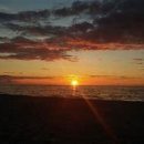 물처럼 바람처럼 이미지