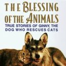 The Cats & Dog 이미지