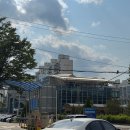 이야기책펜션 후기 / 금산카페 금산부르크, 금산 맛집 복수막국수 &amp; 월영산 출렁다리 및 여울목카페 후기