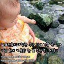 카페1001 - 여수시 반월길 71 | 김해 근교 아기랑 가볼만한곳 김해 진례 1001숲 카페 주말 물놀이 계곡 추천 15개월 아기랑