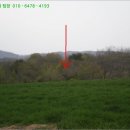 마동-15 이미지