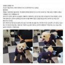 신풍모텔 이미지