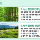 와룡목장 이미지