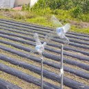 부흥 마을회관 이미지