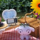 피크닉데이(picnic day)