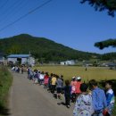 해미초등학교 이미지