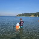 일산해수욕장8(수산물판매센터근처) | 울산 일산해수욕장 일산수산물판매센터