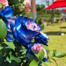 자연수변공원 이미지