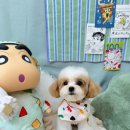 동그라미 동물의료센터 이미지