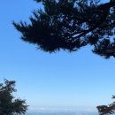 신라스크린골프 이미지