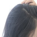 천연염색 | 곡성 두피·눈썹 관리 한곳에서 가능한 [이룸 뷰티] 천연 염색 후기