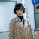 비밀의숲 이미지