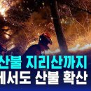 현재 산불 현황 사망 26명... 이미지