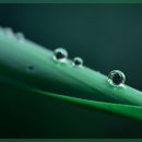 고려보청기 이미지