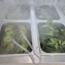 씨유 평택고덕에이스점 | 평택 고덕 두루치기쌈밥 맛집 &#39;예향정 평택고덕점&#39; 불향제육 맛 감동하고 온 후기