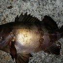 씨알소프트 이미지