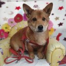 소답동225 이미지