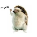 감일로105번길 이미지