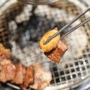 화정상회 이미지
