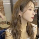 젤리통통 이미지