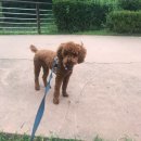 연의체육공원 이미지