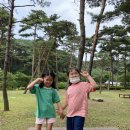 욜로카롱