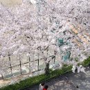 광운대학교 건설법무대학원 이미지