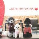 맡겨주개 이미지