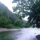 세교동사무소 앞 이미지