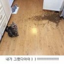 미원커피 이미지