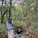 칠보산 등산로 이미지