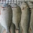 오가민박 이미지