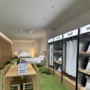 포스코세탁 | 신혼침대 고민 끝! 시몬스 비건침대가 있는 N32 스튜디오 대구점 방문후기