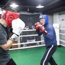 블로우복싱 이미지