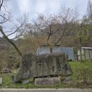 깊은산속 옹달샘 | 8주간의 마음챙김 여행, 깊은산속옹달샘 MBSR 명상 후기