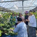 용진농장 이미지