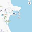 대왕수산 | 강원도 고성 여행 가리비 직판장 백도수산 | 대왕가리비 포장 후기